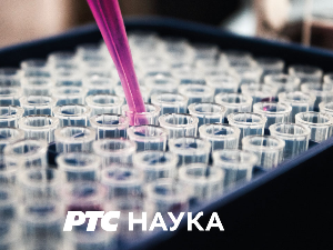 Филозофија и …: Конфуције