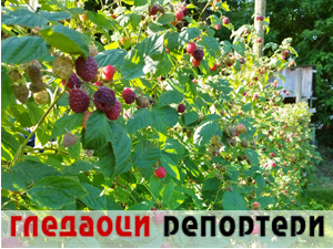 Гледаоци репортери (19. јун 2023.)