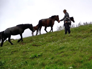 Ко је остао у пустим селима Старе планине