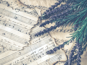  Свирај свирче - тарагот 