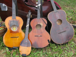  Тамбурица златна жица 