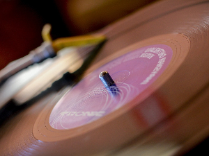 We care about disco!!!