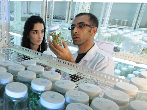 Чистач угасио лабораторијски фрижидер са узорцима и уништио 25 година „револуциoнарног“ истраживања