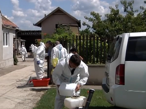 Афричка куга свиња потврђена код 496 газдинстава, одржан хитан састанак кризног центра
