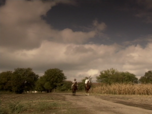  1001 Траг – Е, мој брате – Тома Здравковић 