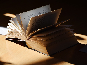 Дарон Асемоглу и Џејмс Робинсон: Уски коридор