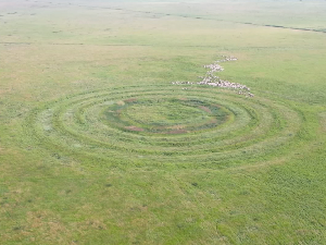Да ли су ватински кругови календар из млађег каменог доба?