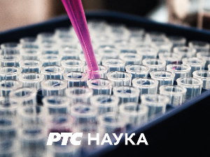 Студио знања:	 Феминизам као нормалност