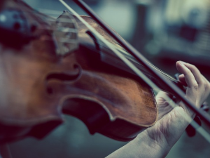  Свирај свирче - виолина 