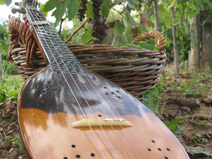 Тамбурица златна жица 