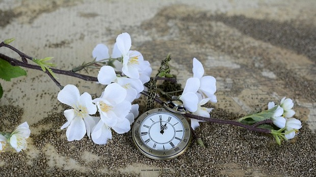 Догодило се на данашњи дан: 29. новембар