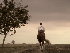  1001 Траг - Идем кући, а већ зора - Александар Трандафиловић 
