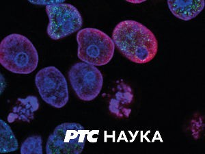 Моја драга пријатељица наука:  	 4. епизода  Са Владаном Вулетићем