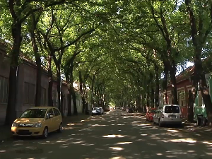 Зашто су кикиндске улице најлепше?