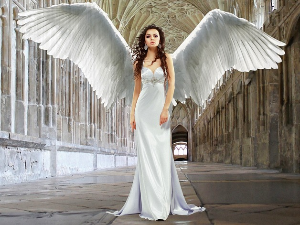 Верујете ли у анђеле? Сваки седми, од десет Американаца верује, открива анкета