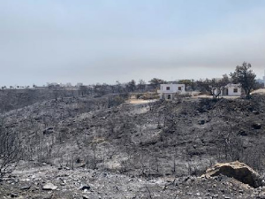 Пет особа ухапшено због подметања пожара у Грчкој, двоје под истрагом