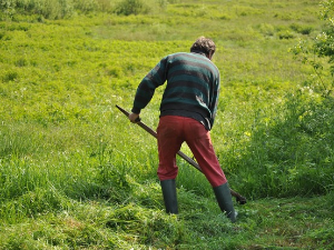 1001 Траг - Једно момче црна ока