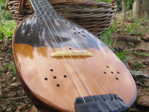 Тамбурица златна жица