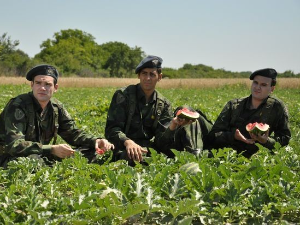 Војна академија, 6. епизода