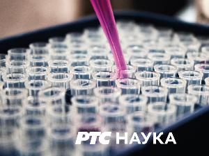 Филозофија и...	 Фридрих Ниче