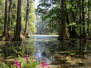 Имагинарни пејзажи
