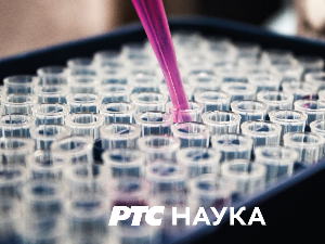 Наука 50:	 Језик