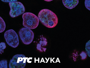 Професионалци:	 Др Марин Јукић, фармацеут