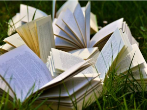 Грег Гарард: Екокритицизам