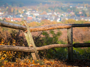 1001 Траг - Чија ли је тараба