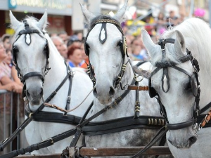 Коњичке игре и витешки фестивал