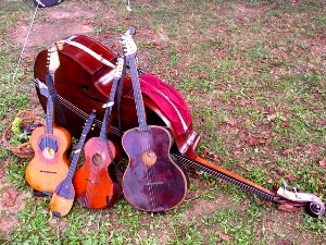 Тамбурица златна жица - Бећарски дивани