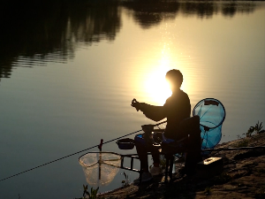 Обала Дунава у Апатину  омиљено место риболоваца