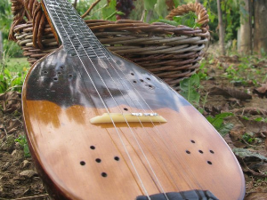 Тамбурица златна жица