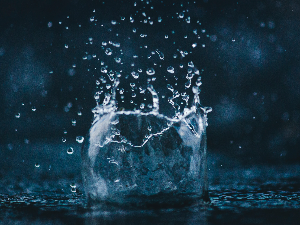 „Киша - неиспричана прича”