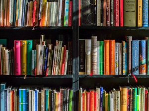 Емануел Карер: Руски роман (1)