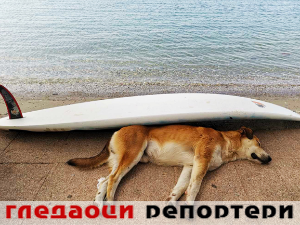 Гледаоци репортери (23. септембар 2023.)