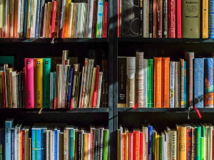 Емануел Карер: Руски роман (4)