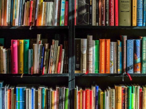 Емануел Карер: Руски роман (5)