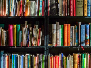 Емануел Карер: Руски роман (6)