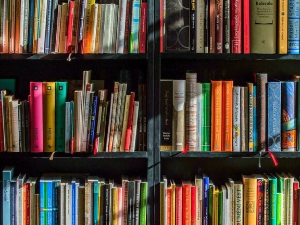 Емануел Карер: Руски роман (7)