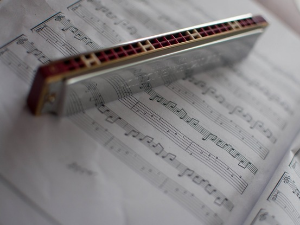 Свирај свирче - Усна хармоника