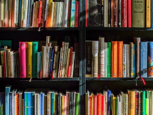 Емануел Карер: Руски роман (10)