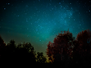 1001 Траг – Кроз поноћ нему