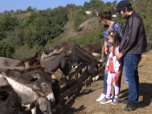 Фарме домаћих животиња као део туристичке понуде