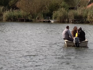 Како светле диње на месечини на Бисерном острву