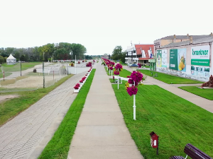 Колико цветова има на Тиском кеју у Новом Бечеју