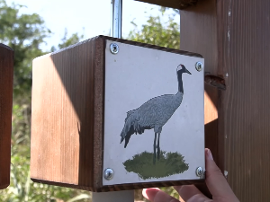 Шта је остало од Панонског мора у Сланом Копову