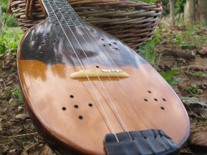 Тамбурица златна жица