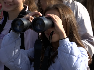 Шта можемо да научимо посматрајући птице 