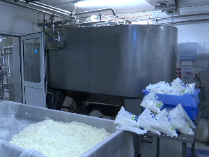 Производи породичне млекаре све чешће на рафовима маркета